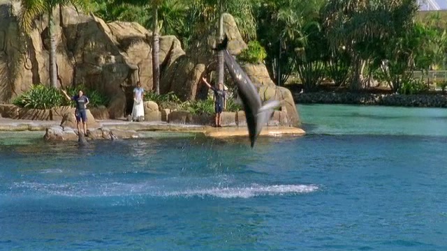 h2o_s01e04_0029.jpg h2o_s01e04_0029.jpg