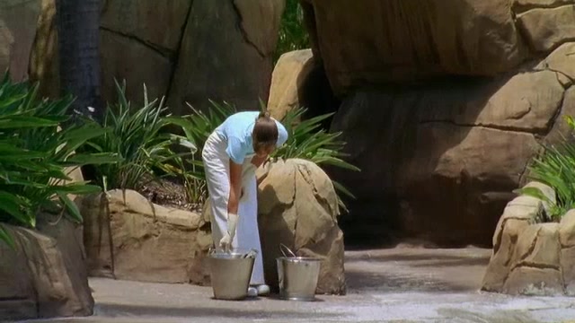 h2o_s01e04_0030.jpg h2o_s01e04_0030.jpg