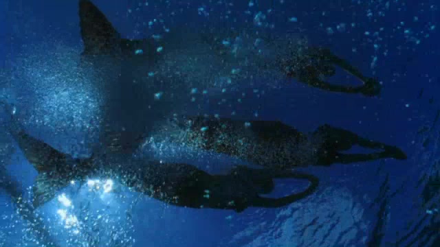 h2o_s01e25_0149.jpg