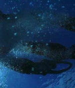 h2o_s01e25_0149.jpg