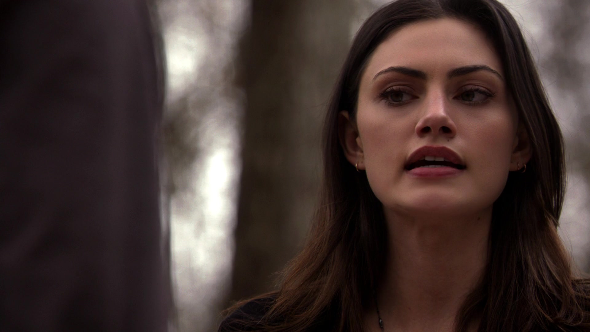 Phoebe Tonkin Web is an unofficial, non-profit fansite run by fans and is i...