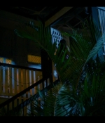 TYL1x02_0553.jpg